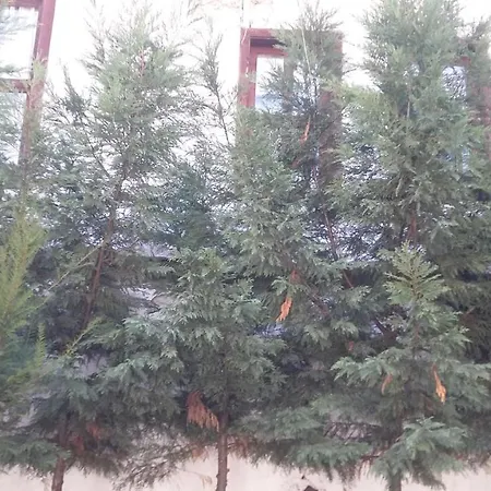 Hotel Nimet Hanim Konagi