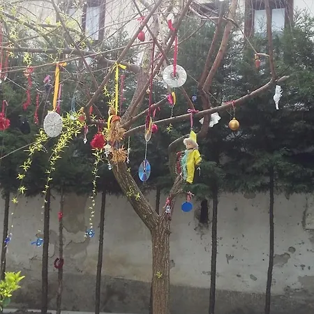 Nimet Hanim Konagi